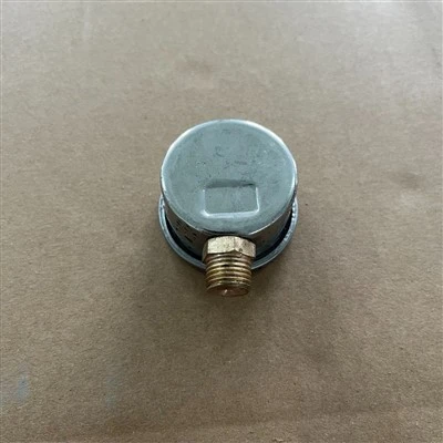 product-400-400 22 26 Plunger Pump Pressure Gauge